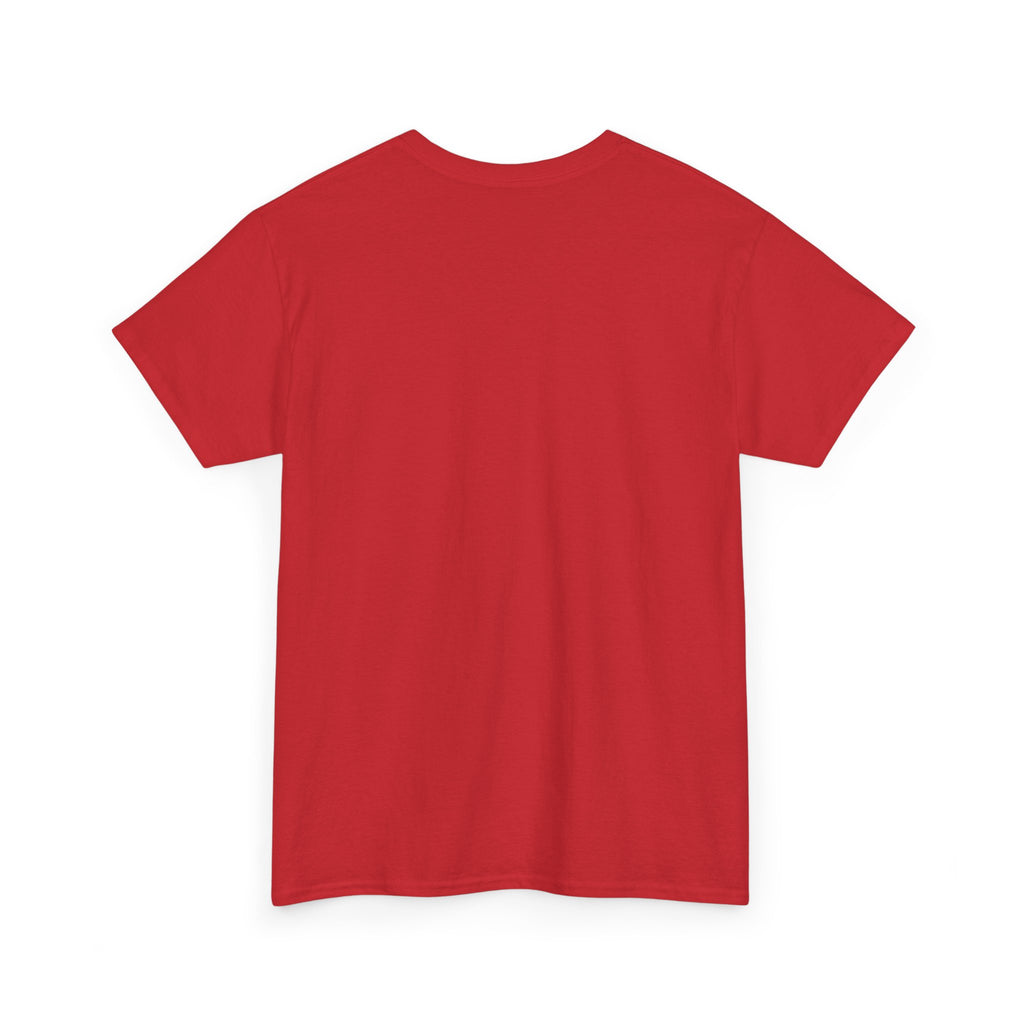 Frazzled Cat Chaos Tee – For Beautifully Overwhelmed Days