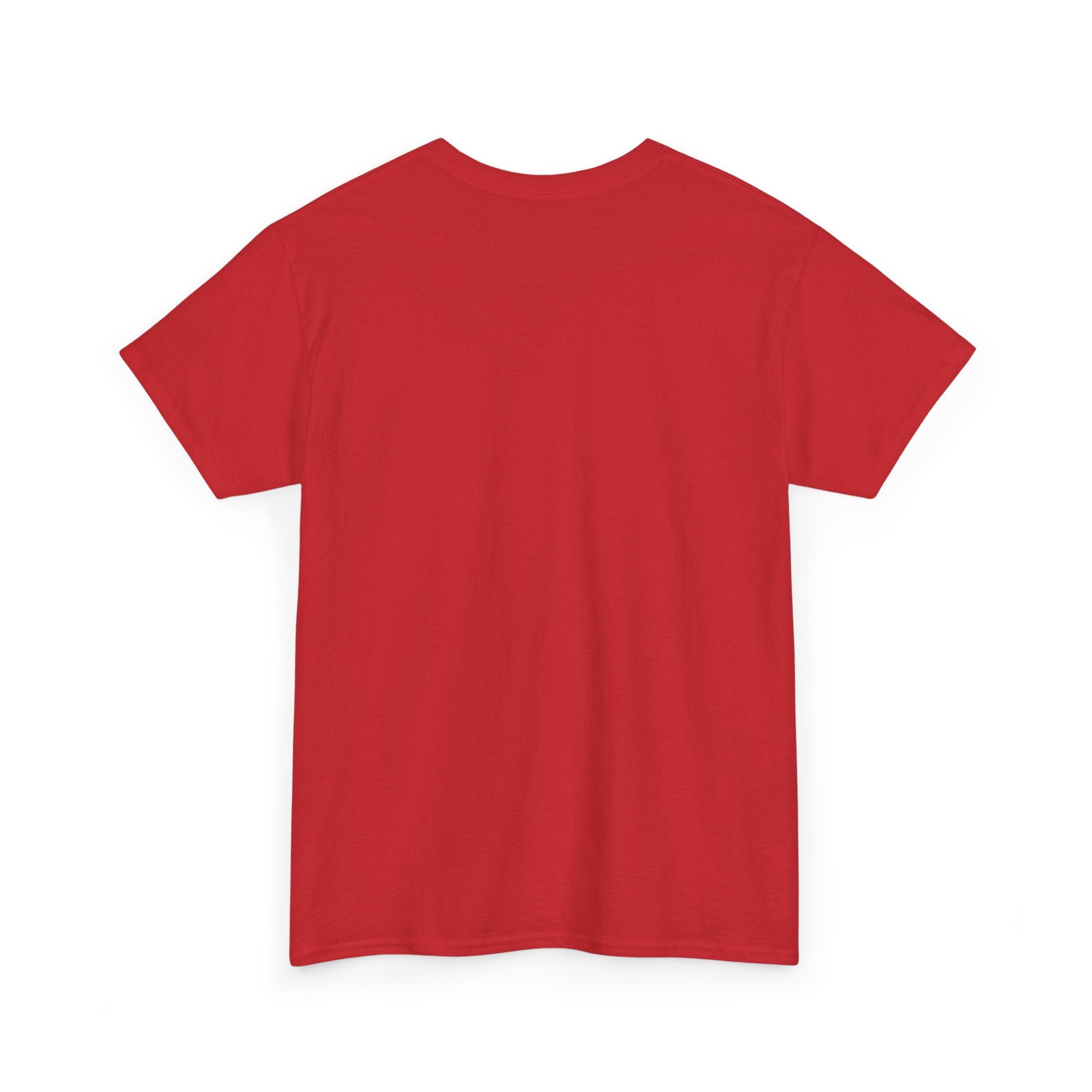 Frazzled Cat Chaos Tee – For Beautifully Overwhelmed Days