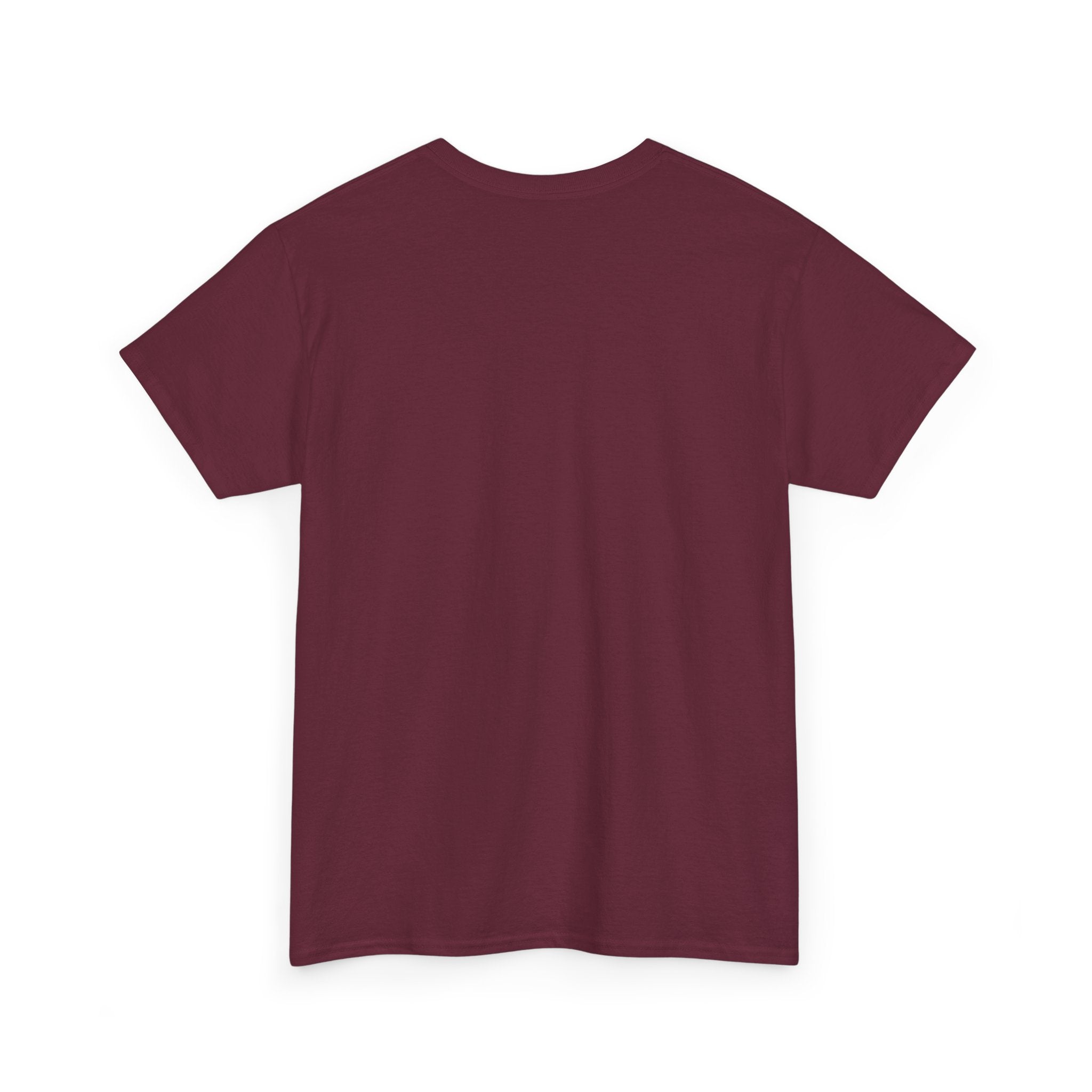 Frazzled Cat Chaos Tee – For Beautifully Overwhelmed Days