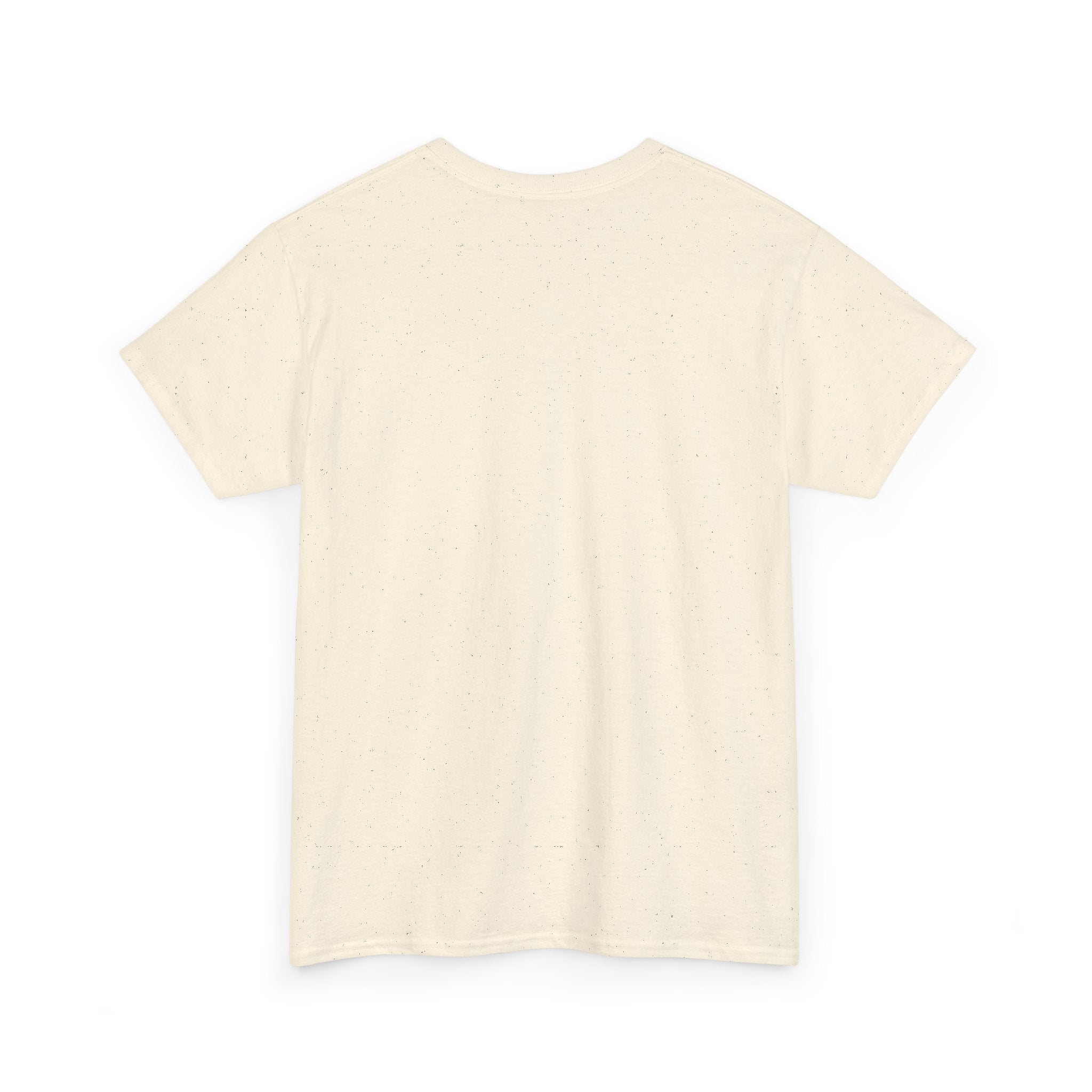 Frazzled Cat Chaos Tee – For Beautifully Overwhelmed Days